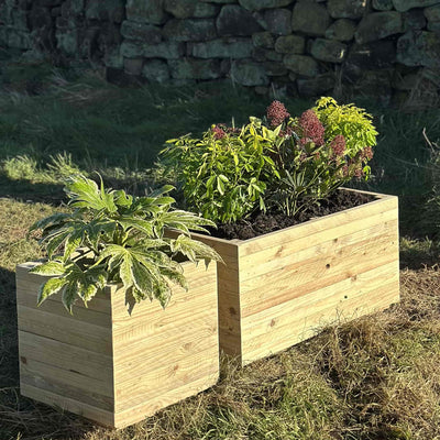 1 square and 1 trough style wooden garden planter placed by a rock wall and filled with green plants and sat in the sunshine.