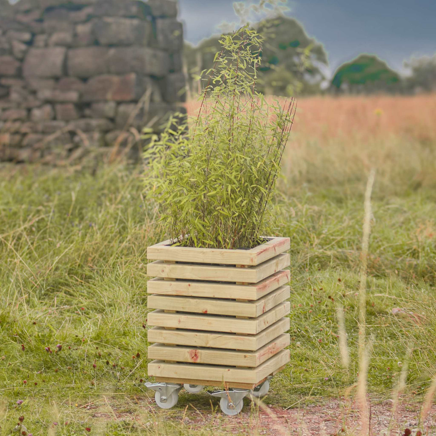 A small square wooden slatted planter with a tall, vibrant green plant. Positioned in a scenic outdoor setting. Fitted with castors/wheels.