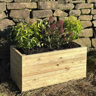 Rustic slatted wooden planter filled with green plants. Placed in front of a stone wall in the sunshine.