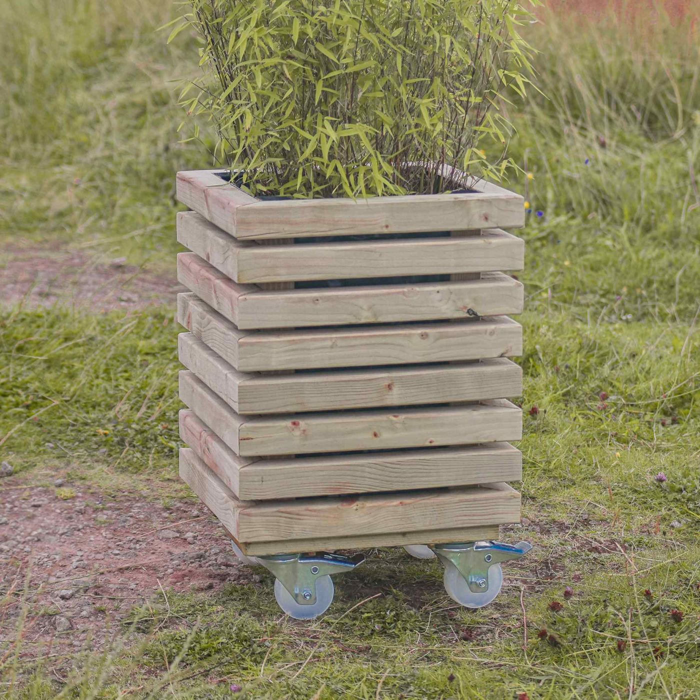 A small square wooden slatted planter with a tall, vibrant green plant. The planter has a contemporary design and is crafted from durable timber. Positioned in a scenic outdoor setting. Fitted with castors/wheels.