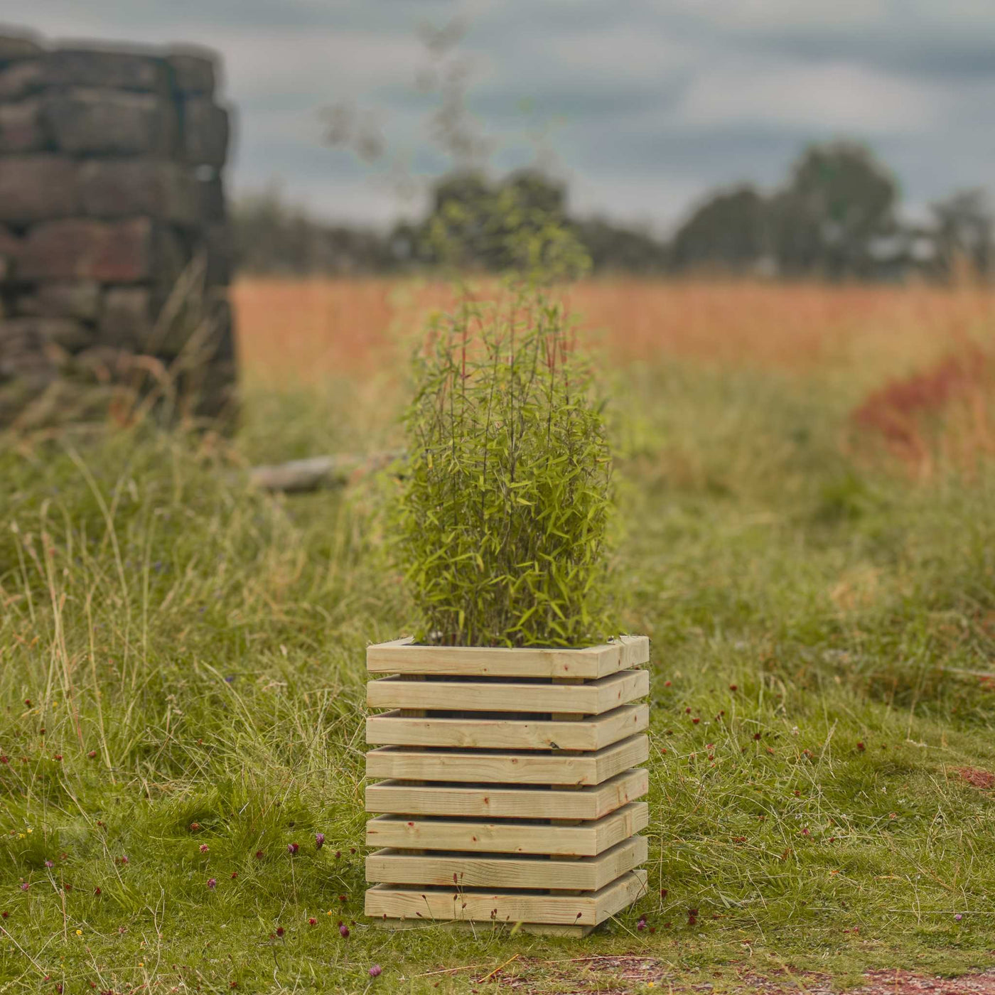 A small square wooden slatted planter with a tall, vibrant green plant. The planter has a contemporary design and is crafted from durable timber. Positioned in a scenic outdoor setting.