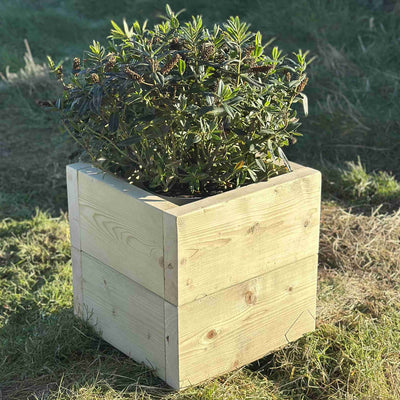 Square wooden trough planter, heavy-duty design, no visable screws. Filled with a dark green shrub. A corner view of the planter placed on grass.