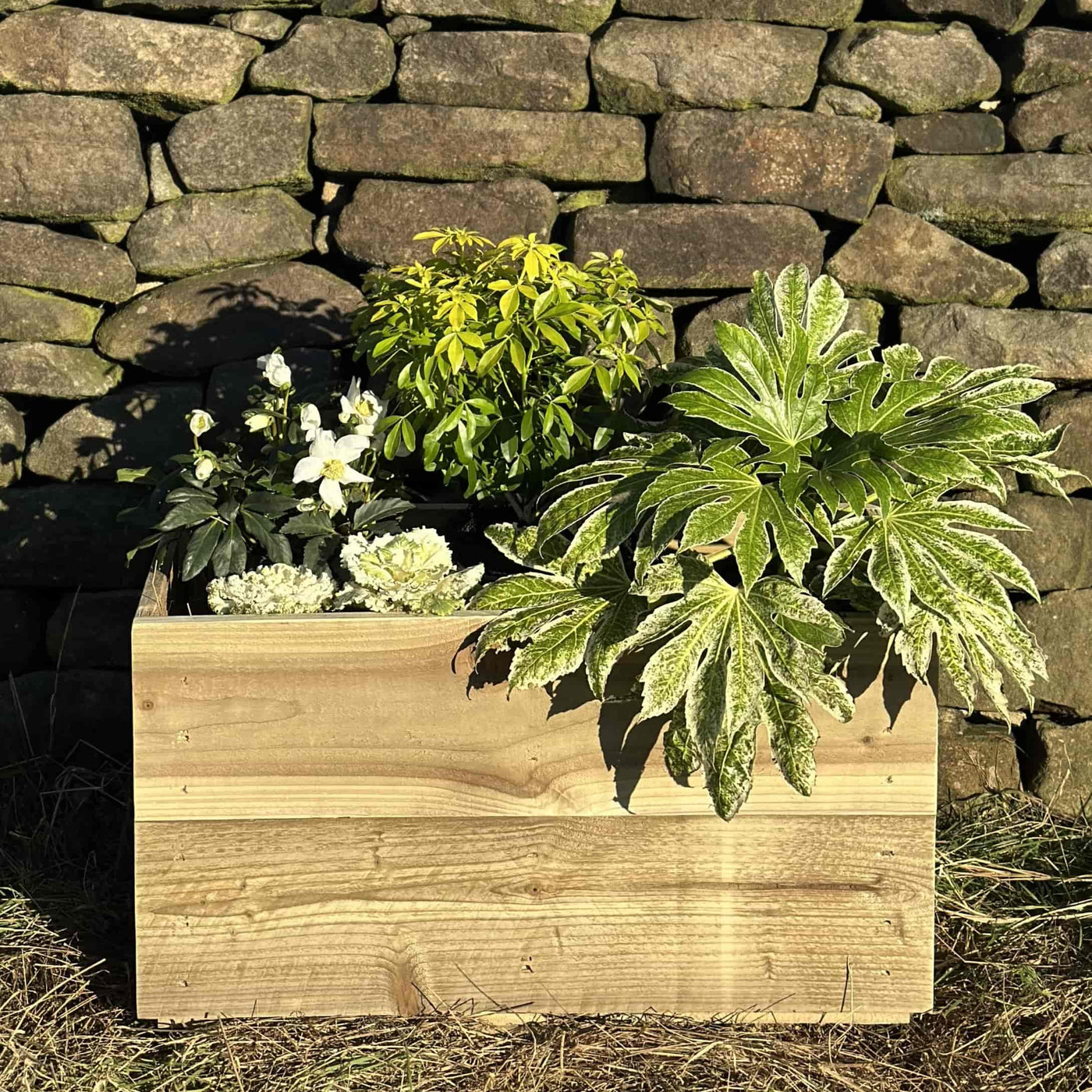 Front view of a trough shaped wooden planter box, filled with green plats and white flowers. Placed on grass infront of a stone wall.