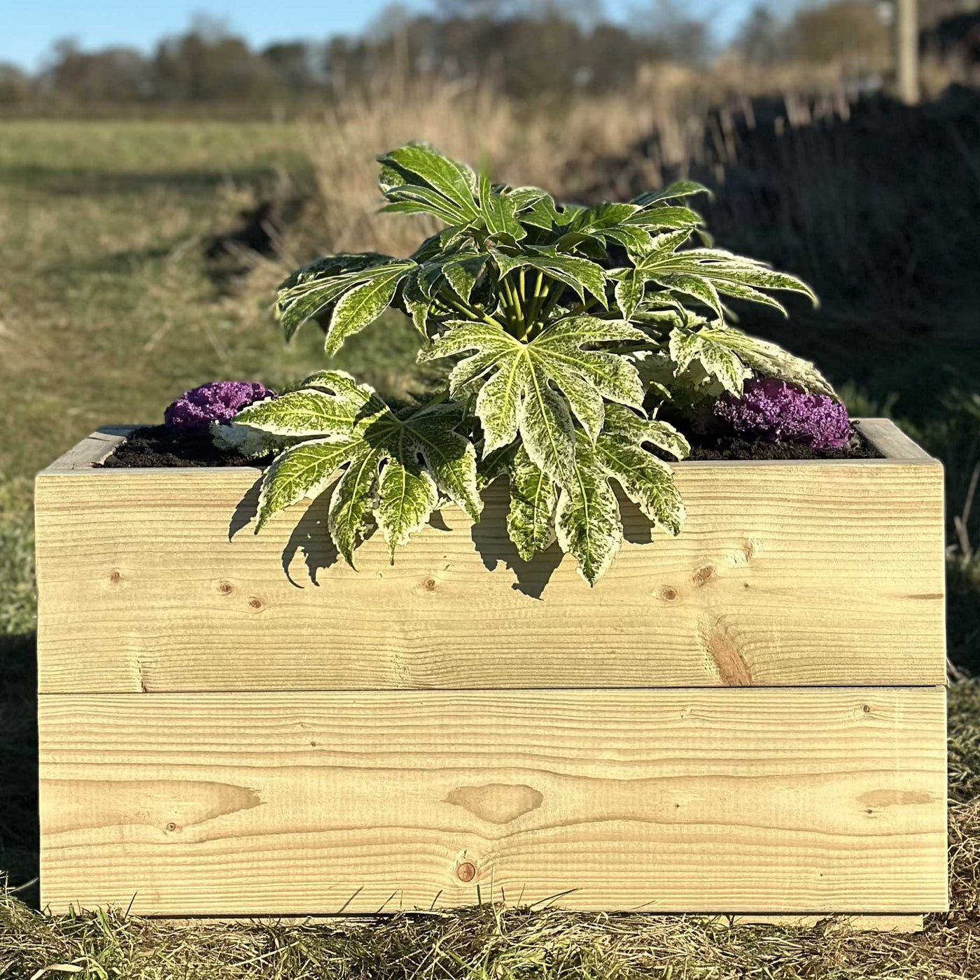 Heavy-duty wooden trough planter, filled with green plants and purple and white flowers. Placed on grass in a large open garden space.