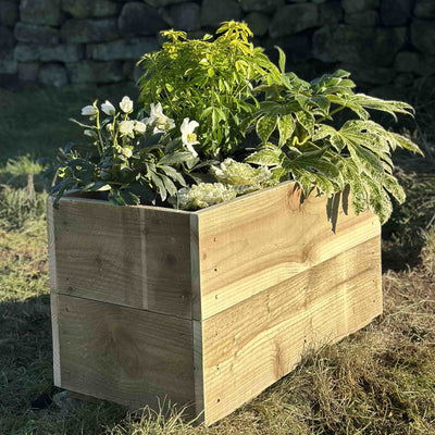 Wooden planter box, side view of a trough shaped planter, filled with green plants and white flowers. Placed on grass by a stone wall.