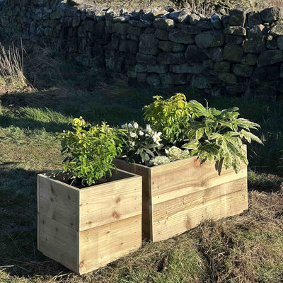 Wooden planter boxes, one square and one trough shaped, filled with green plants and white flowers. Placed on grass by a stone wall.